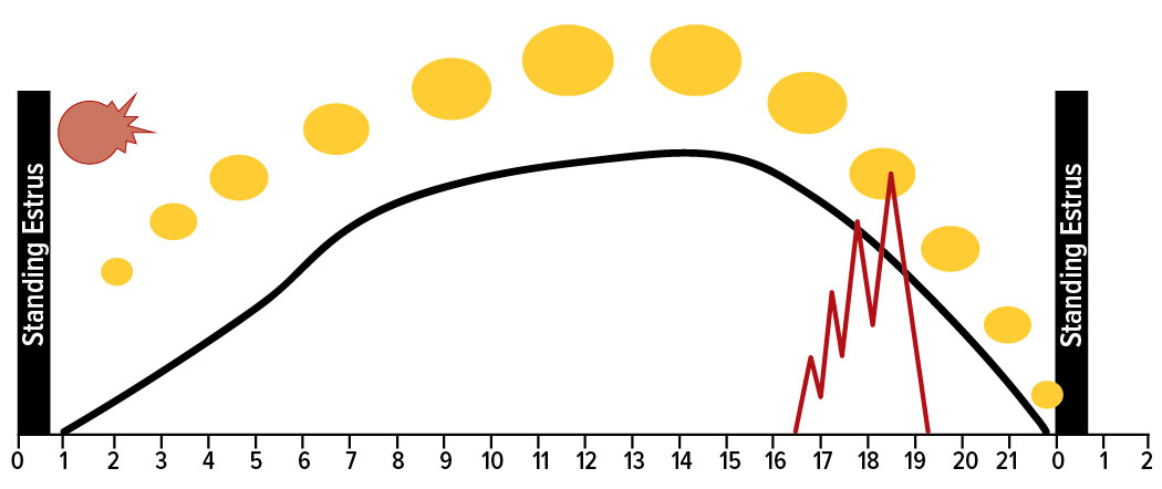 Graph with two black bars on each side, a red dot on the left side, and yellow circles arching throughout representing reproductive fertilization.